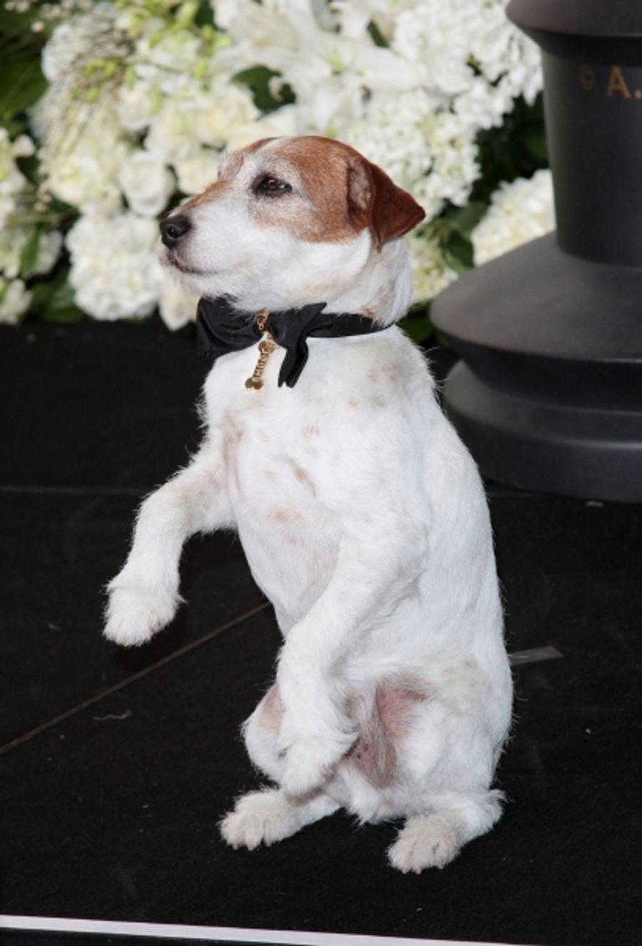 Photo Coverage: 2012 Academy Awards - The Winners! Image