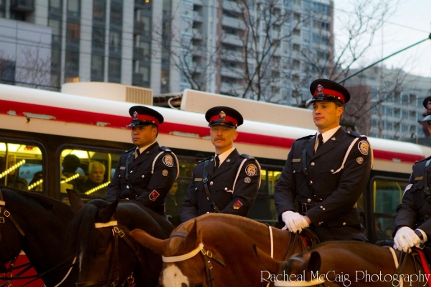 Photo Coverage: WAR HORSE Opens in Toronto - All the Red Carpet Action!  Image