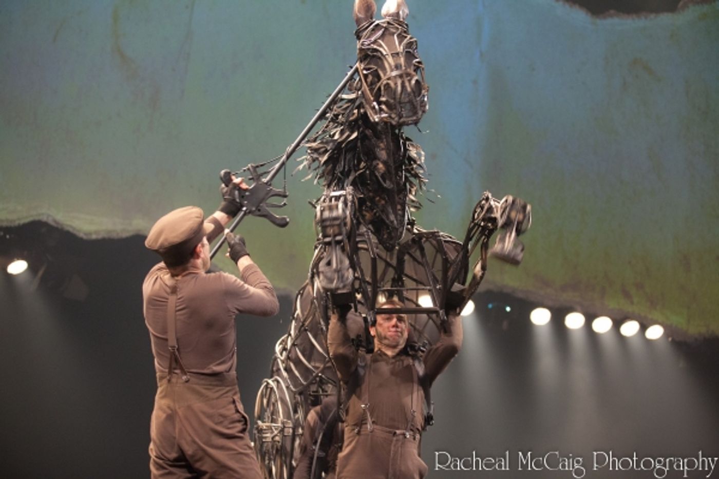 Photo Coverage: WAR HORSE Opens in Toronto - All the Red Carpet Action!  Image