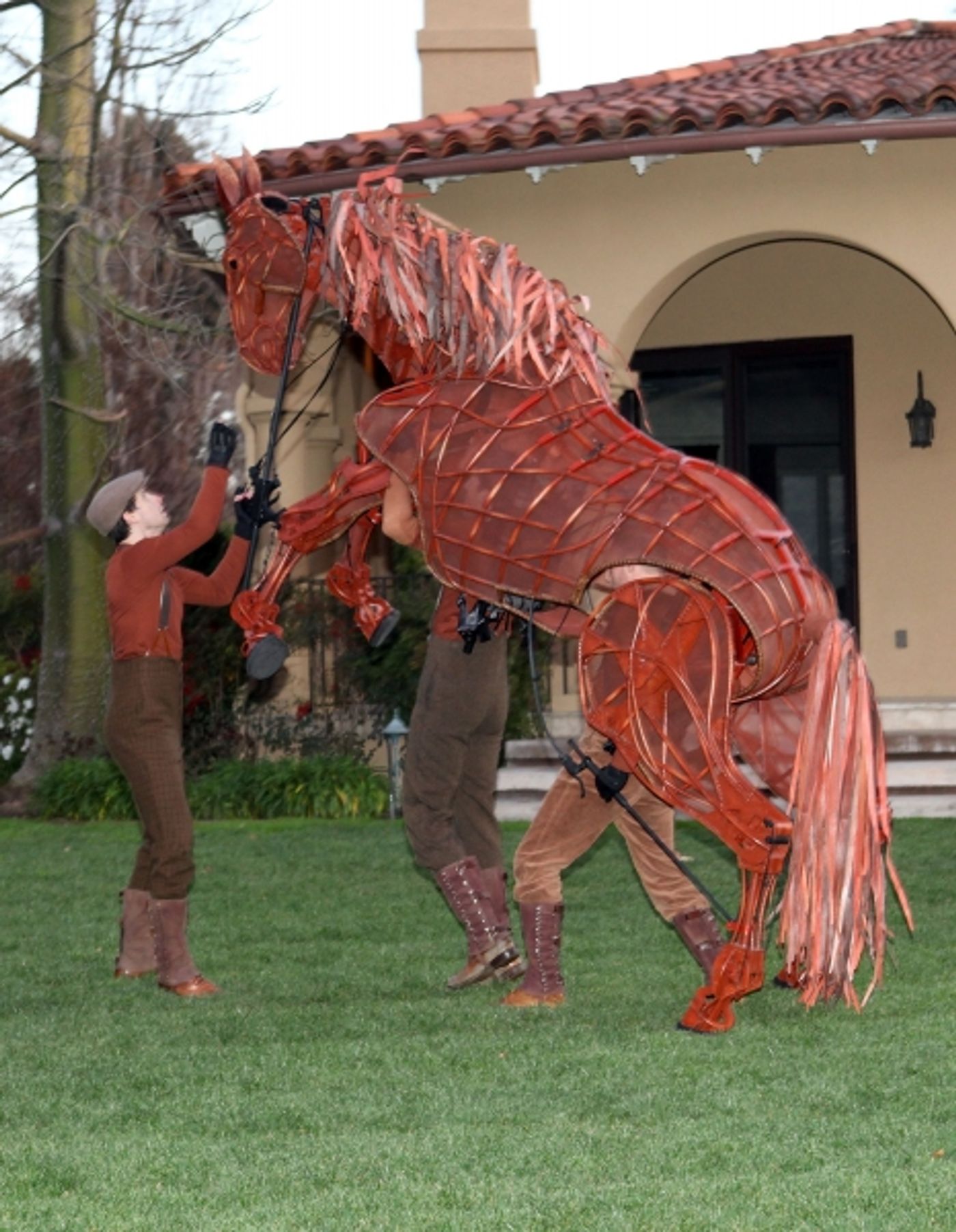 Photo Flash: WAR HORSE at the Ahmanson Home  Image