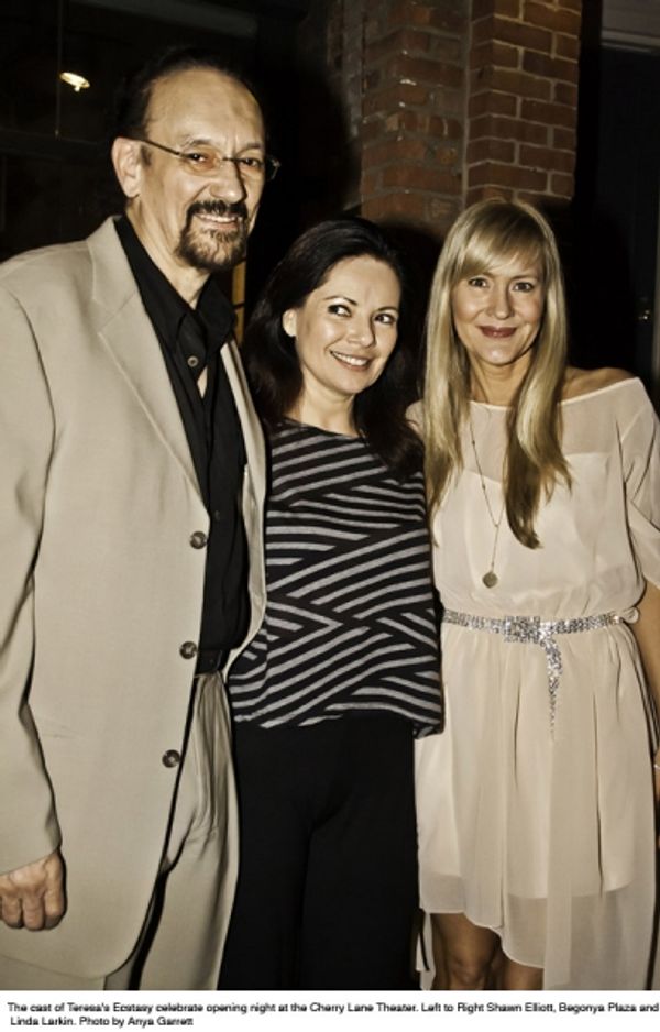 Shawn Elliott, Begonya Plaza and Linda Larkin Photo