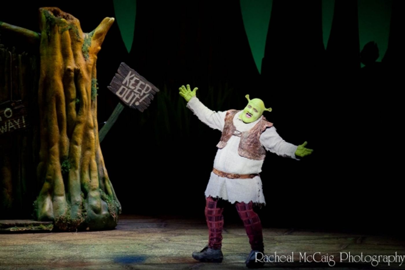 Photo Coverage: Let Your Freak Flag Wave - SHREK Opens in Toronto  Image
