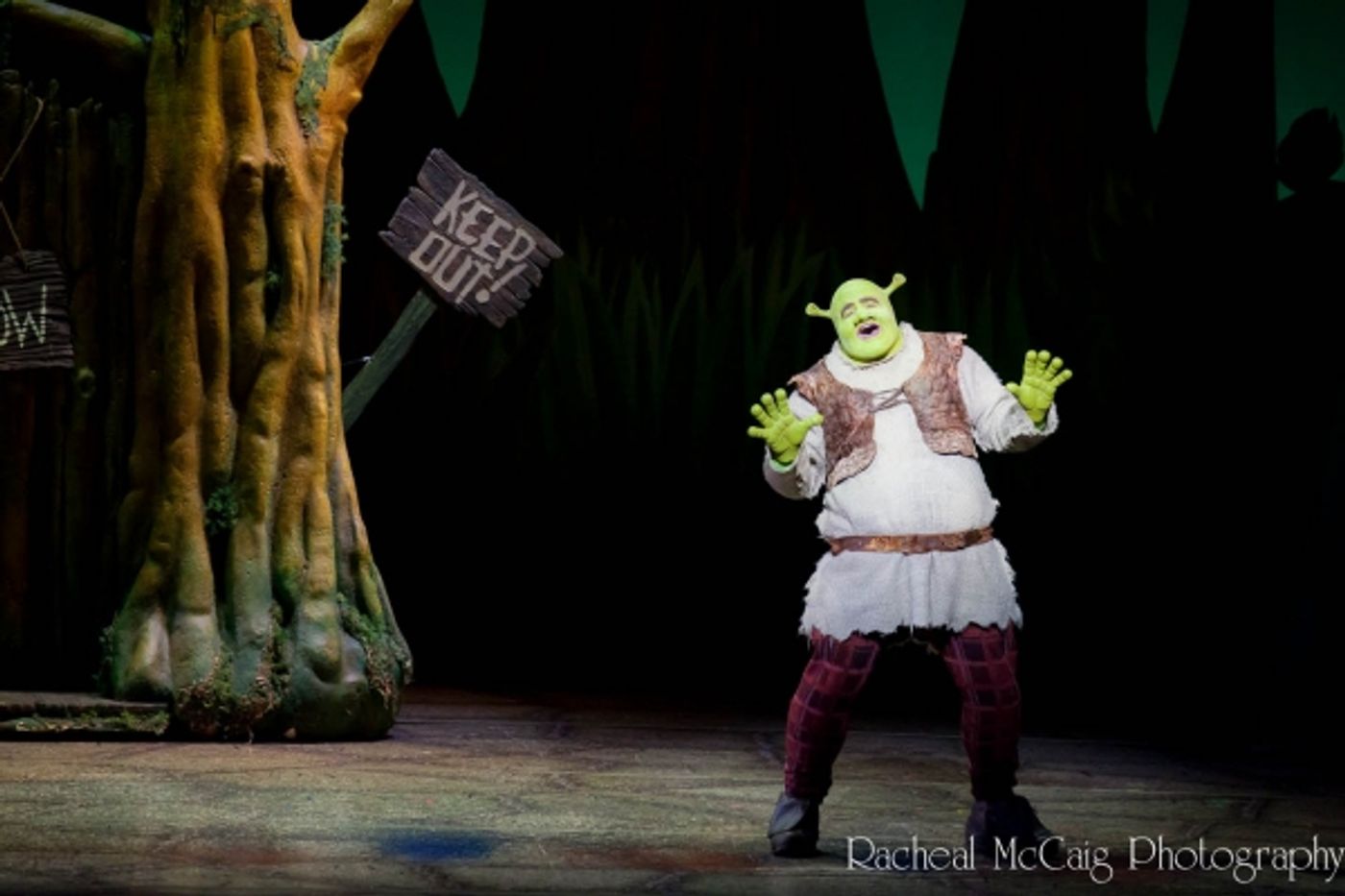 Photo Coverage: Let Your Freak Flag Wave - SHREK Opens in Toronto  Image