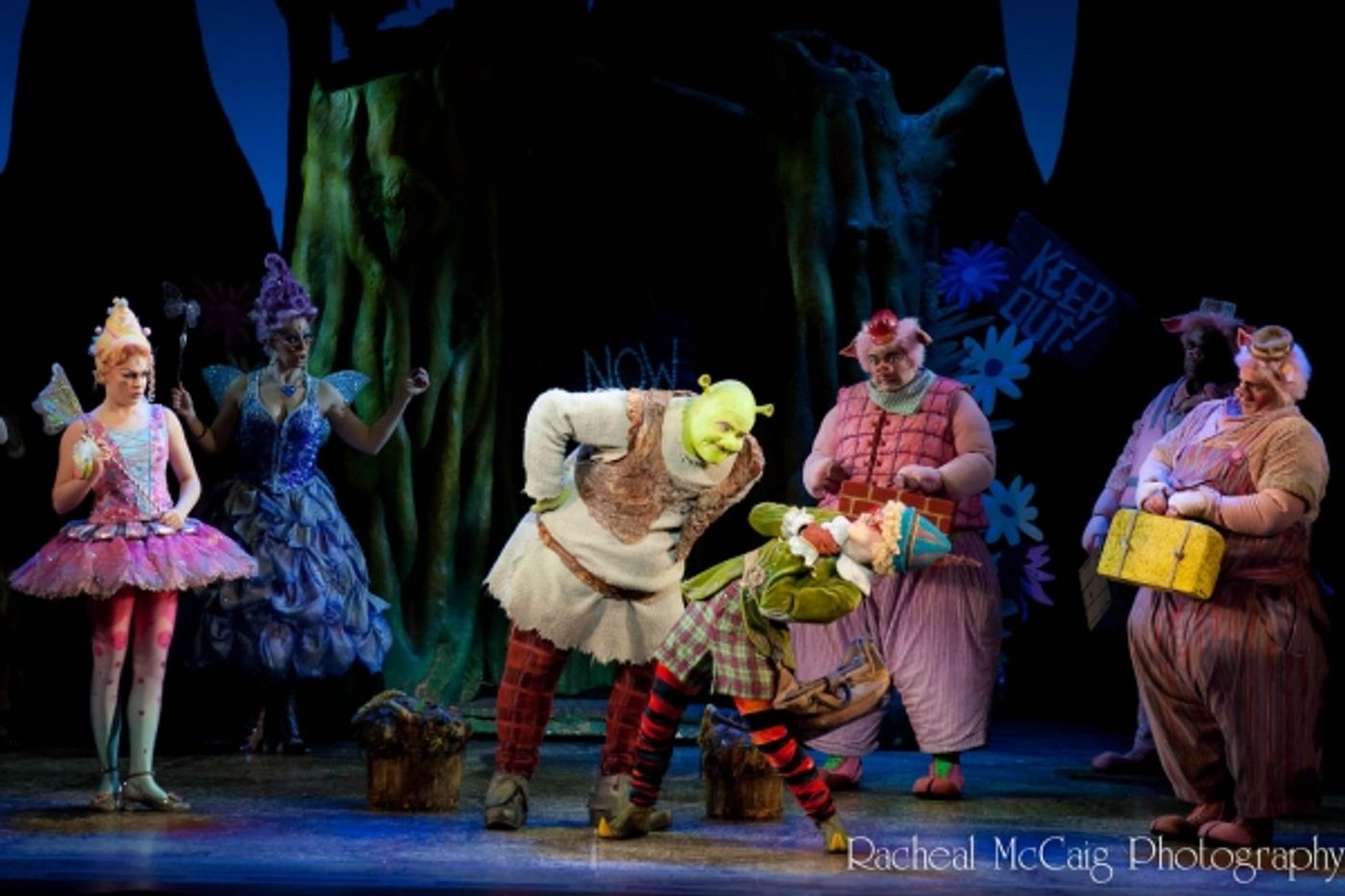 Photo Coverage: Let Your Freak Flag Wave - SHREK Opens in Toronto Photo Coverage: Let Your Freak Flag Wave - SHREK Opens in Toronto Image