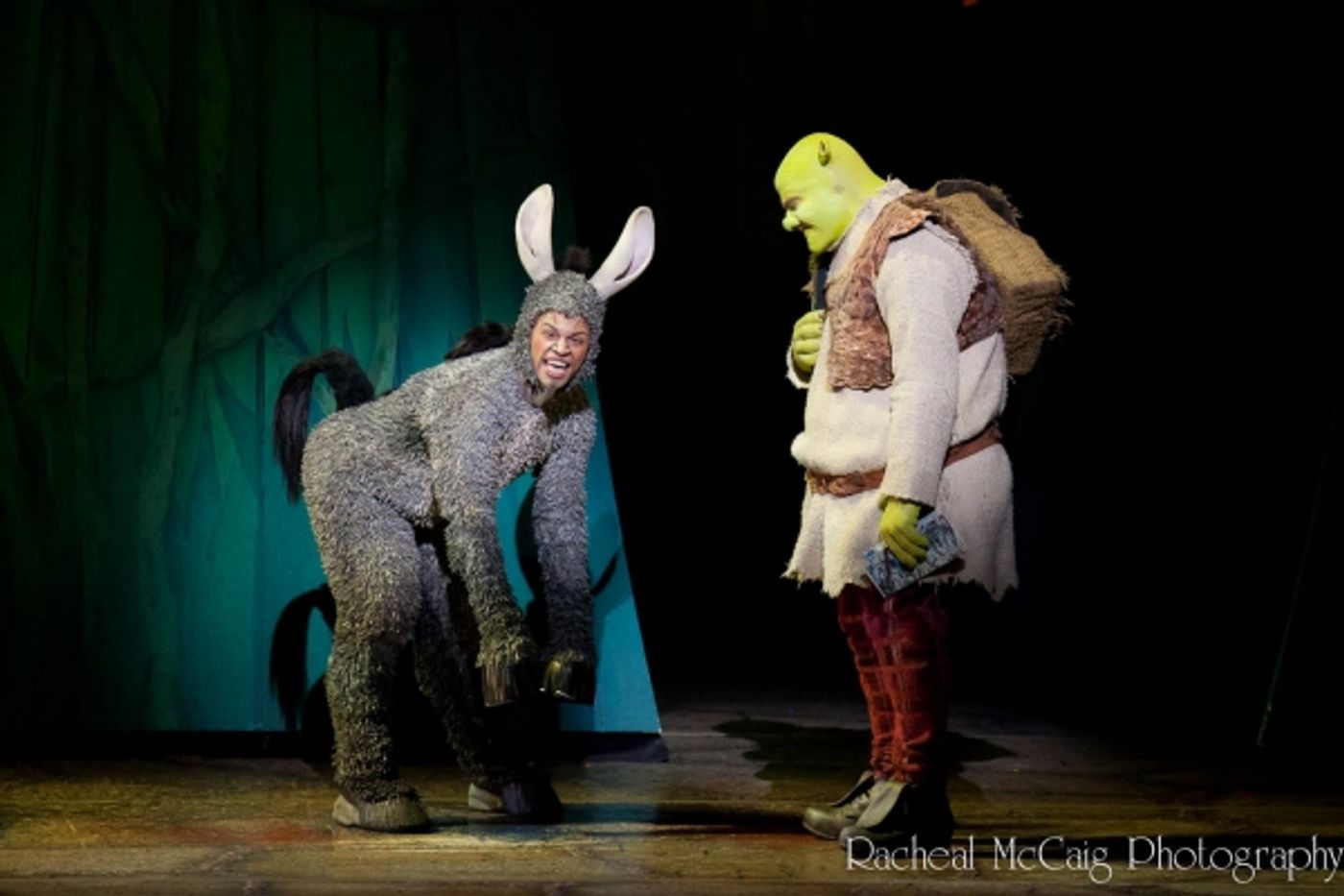 Photo Coverage: Let Your Freak Flag Wave - SHREK Opens in Toronto Photo Coverage: Let Your Freak Flag Wave - SHREK Opens in Toronto Image