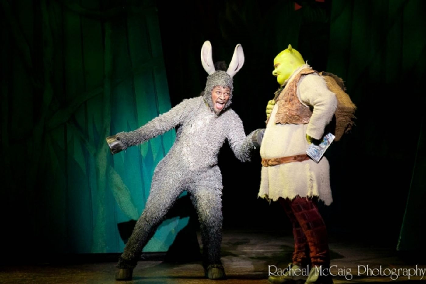 Photo Coverage: Let Your Freak Flag Wave - SHREK Opens in Toronto Photo Coverage: Let Your Freak Flag Wave - SHREK Opens in Toronto Image