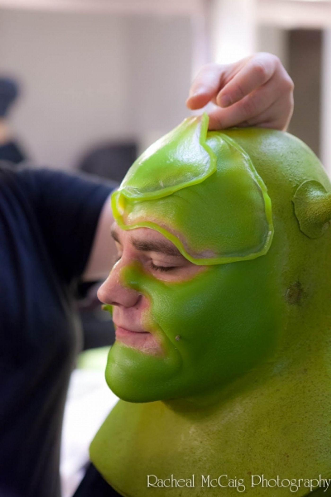 Photo Coverage: The 'Shrekking' Process  Image