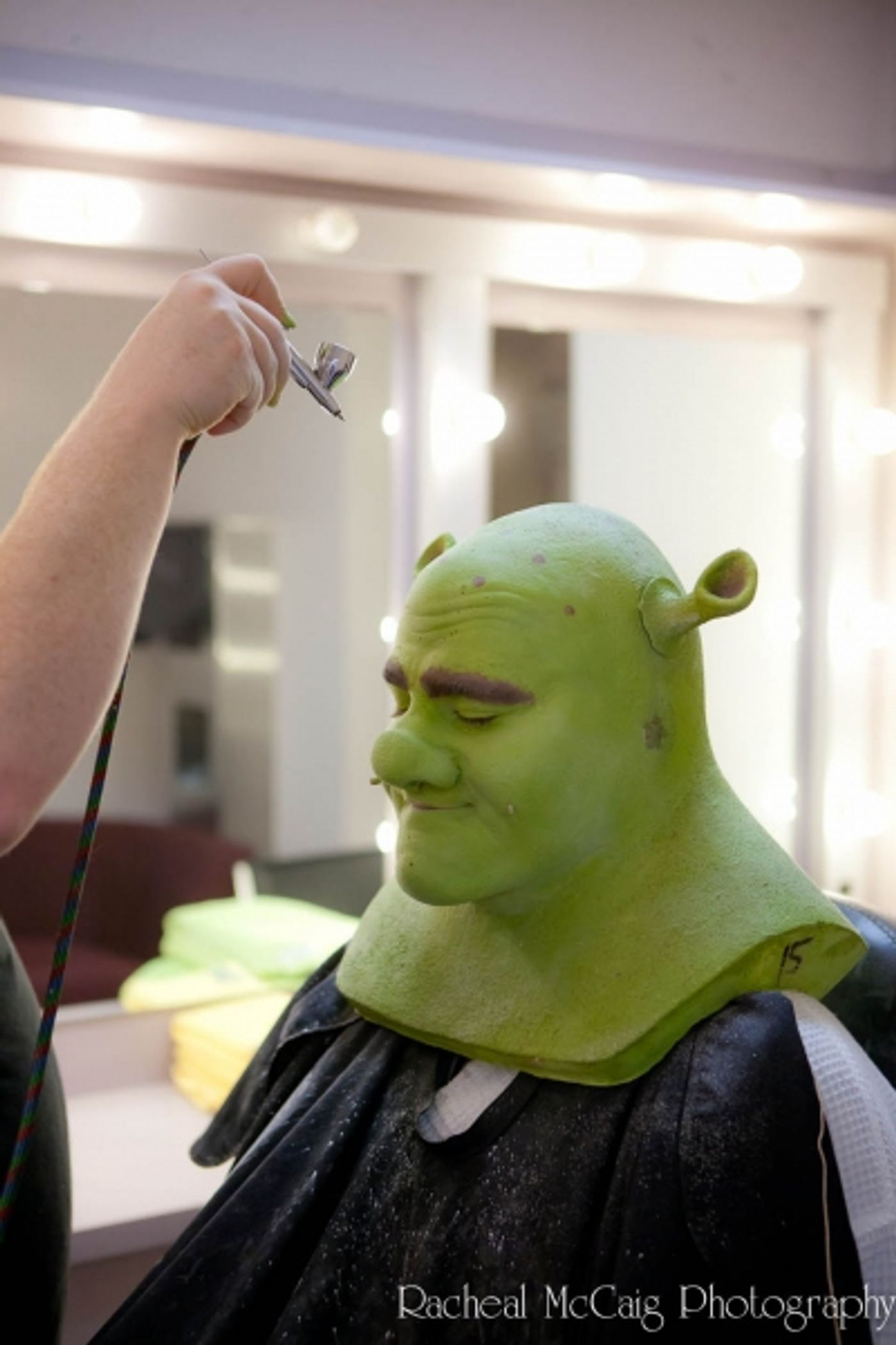 Photo Coverage: The 'Shrekking' Process  Image