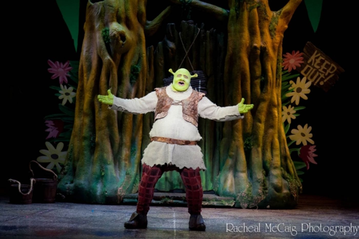 Photo Coverage: The 'Shrekking' Process Photo Coverage: The 'Shrekking' Process Image