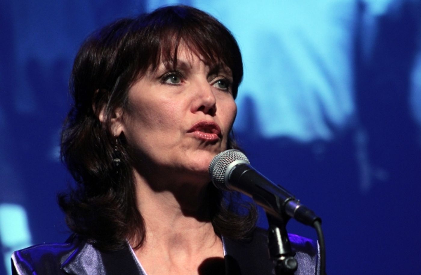 Photo Coverage: Kate Shindle, Julia Murney, et al. in IF IT ONLY EVEN RUNS A MINUTE 9  Image