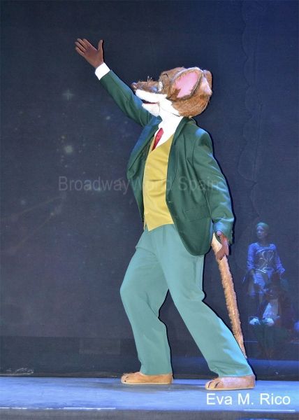 Geronimo Stilton Photo