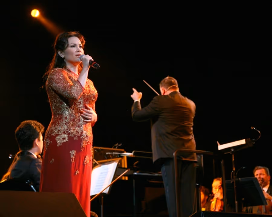 Photo Flash: Lea Salonga, Brian Stokes Mitchell, et al. in DO YOU HEAR THE PEOPLE SING Concert Image