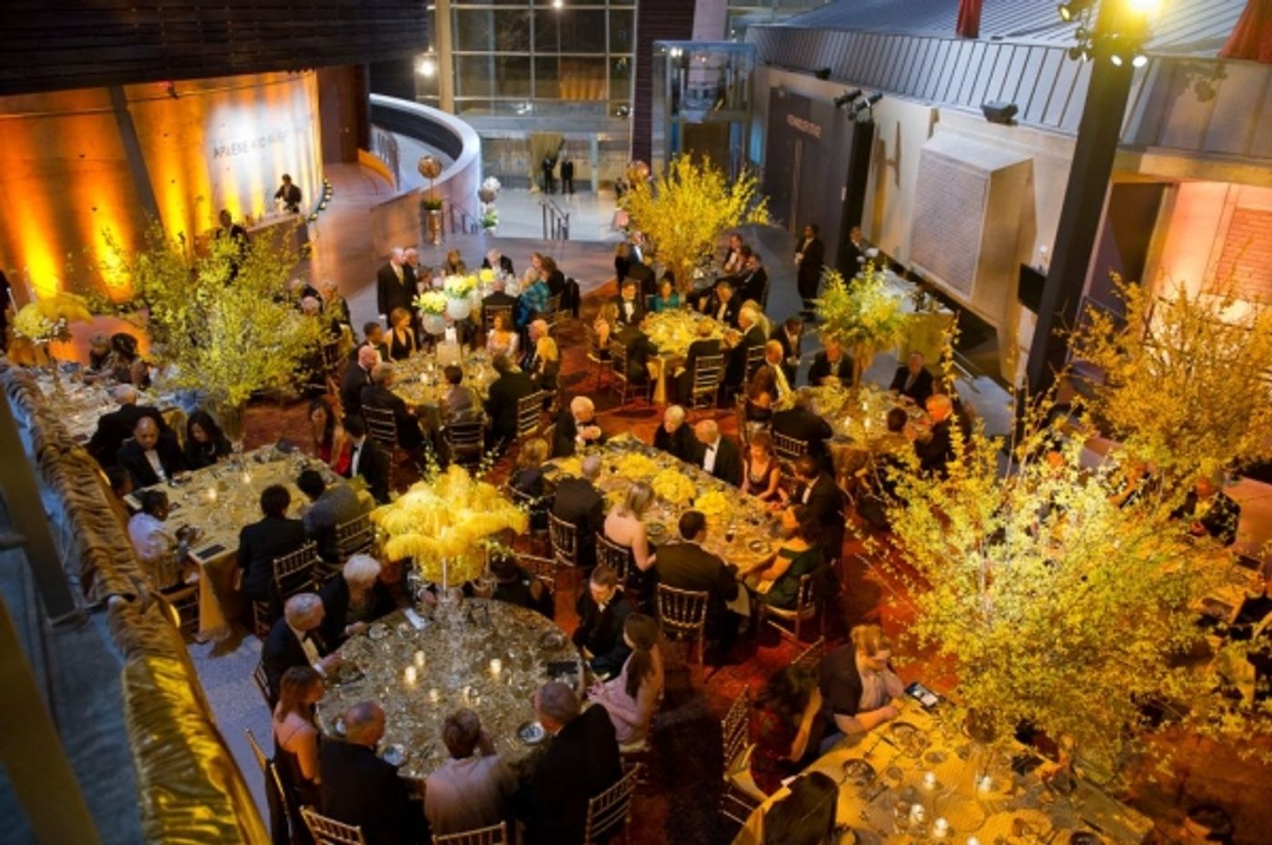 Photo Flash: Kate Baldwin, Sheldon Harnick, et al. at Arena Stage's Golden Gala Photo Flash: Kate Baldwin, Sheldon Harnick, et al. at Arena Stage's Golden Gala Image