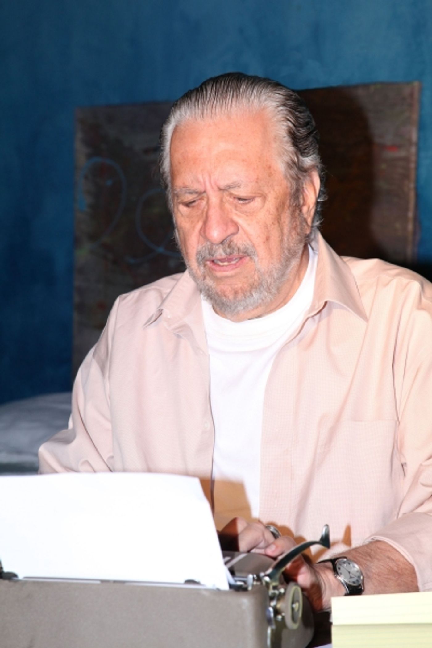 Photo Flash: First Look at TENNESSEE IN THE SUMMER at the Sidewalk Studio  Image