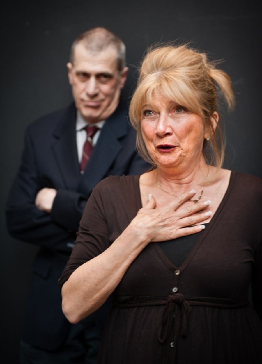Photo Flash: Scandinavian American Theater Company Presents PINOCCHIO'S ASHES Image