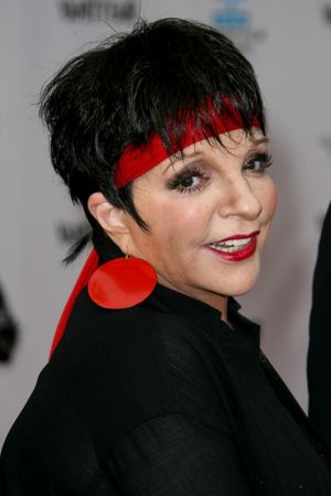 Liza Minnelli @ BroadwayWorld Liza Minnelli Photo
