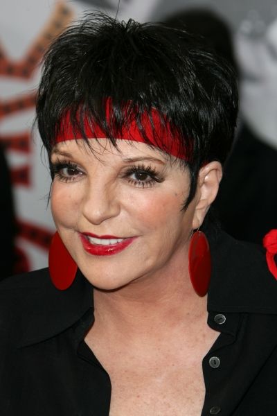 Liza Minnelli Photo