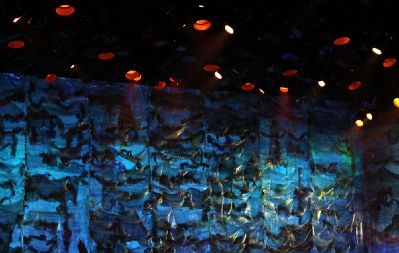 Photo Coverage: PETER AND THE STARCATCHER - Opening Night Curtain Call on Broadway!  Image