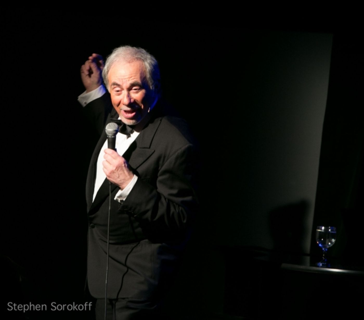 Photo Coverage: Cary Hoffman's MY SINATRA Opens at Sofia's Downstairs Theatre  Image