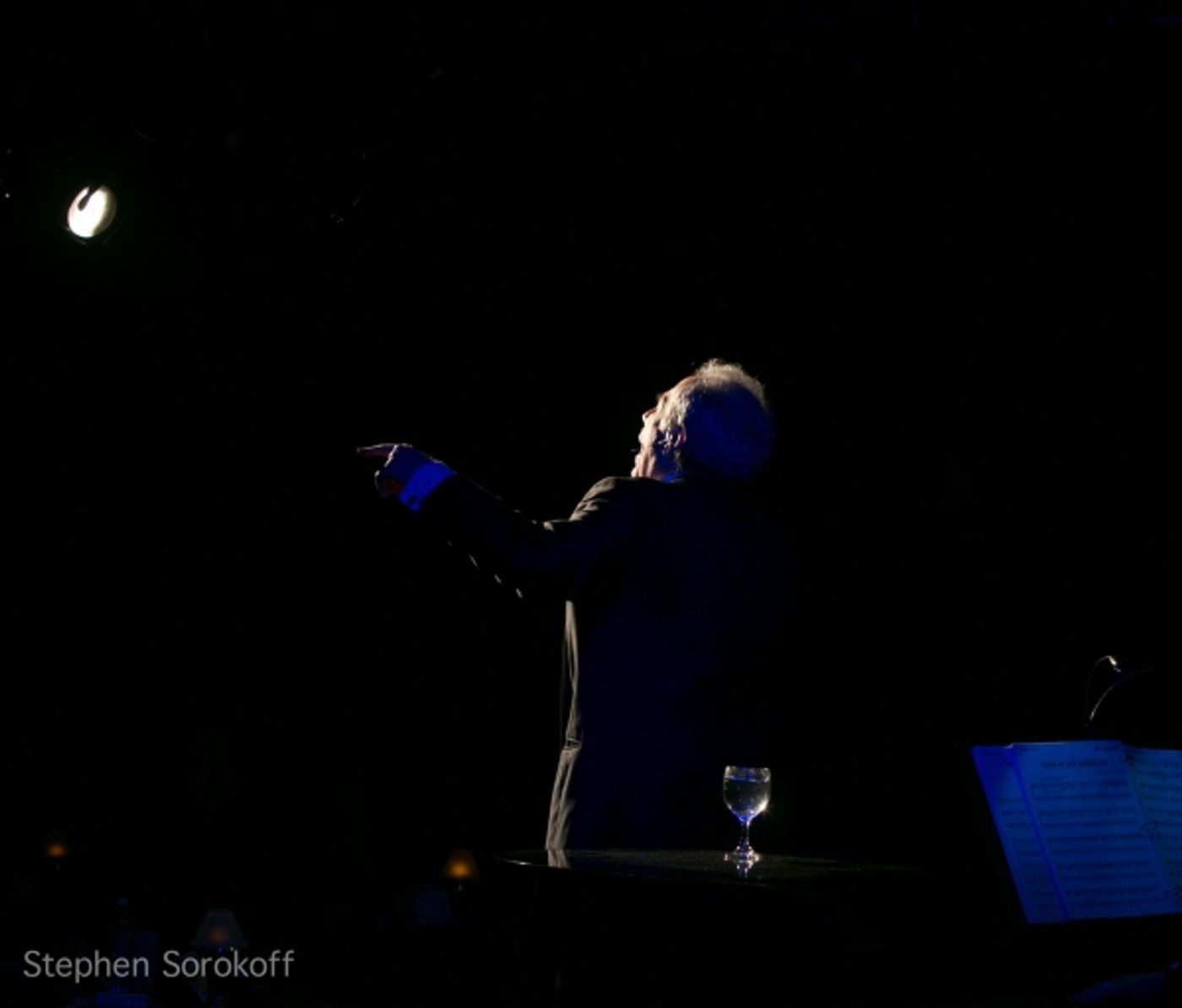 Photo Coverage: Cary Hoffman's MY SINATRA Opens at Sofia's Downstairs Theatre  Image