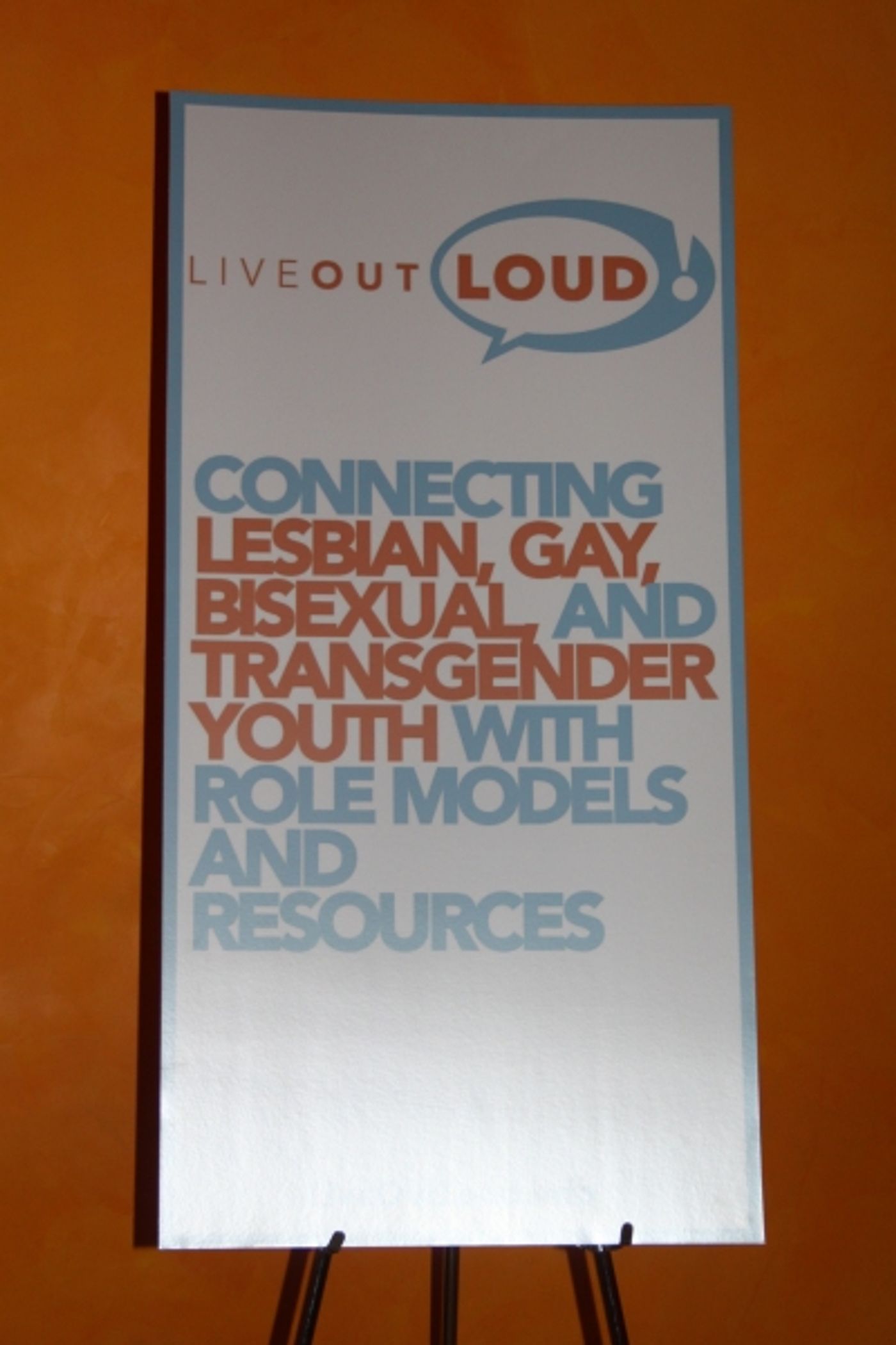 Photo Coverage: Live Out Loud 11th Annual Gala  Image