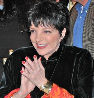 Liza Minnelli @ BroadwayWorld Liza Minnelli Photo