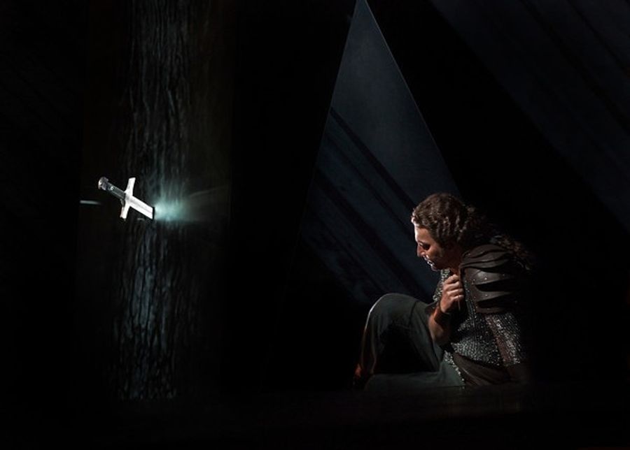 Photo Flash: First Look at Wagner's RING CYCLE, to Screen in THE MET: LIVE IN HD, Beg. 5/7 Image