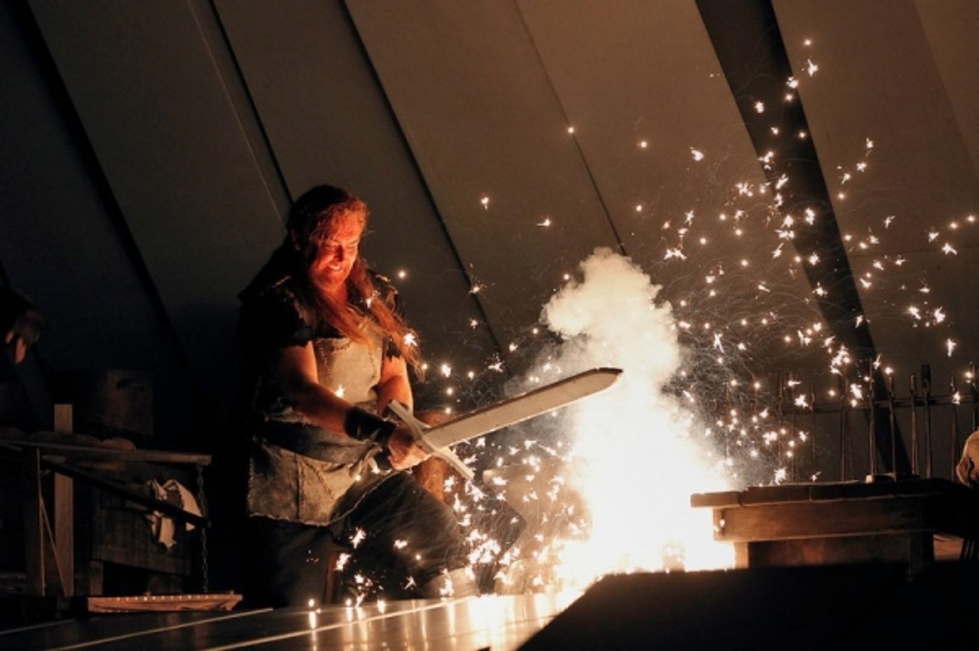 Photo Flash: First Look at Wagner's RING CYCLE, to Screen in THE MET: LIVE IN HD, Beg. 5/7  Image