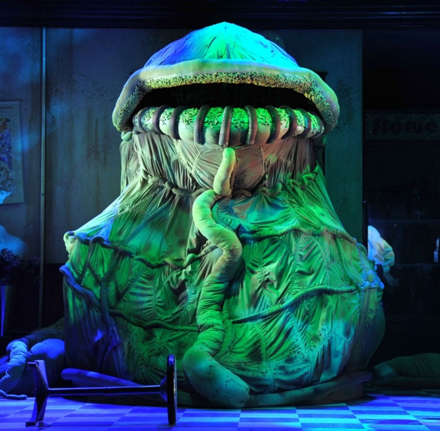 Photo Flash: Kansas City Rep's LITTLE SHOP OF HORRORS  Image