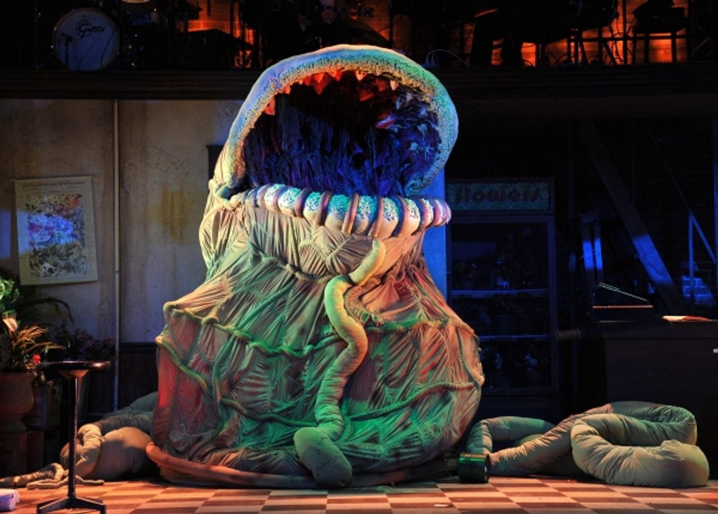 Photo Flash: Kansas City Rep's LITTLE SHOP OF HORRORS  Image