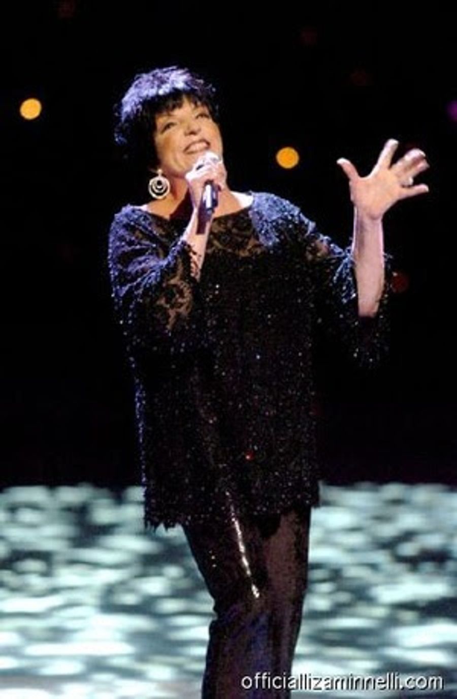 Exclusive InDepth InterView: Liza Minnelli Talks LIVE AT THE WINTER GARDEN, CABARET HD, Lady Gaga & More Image