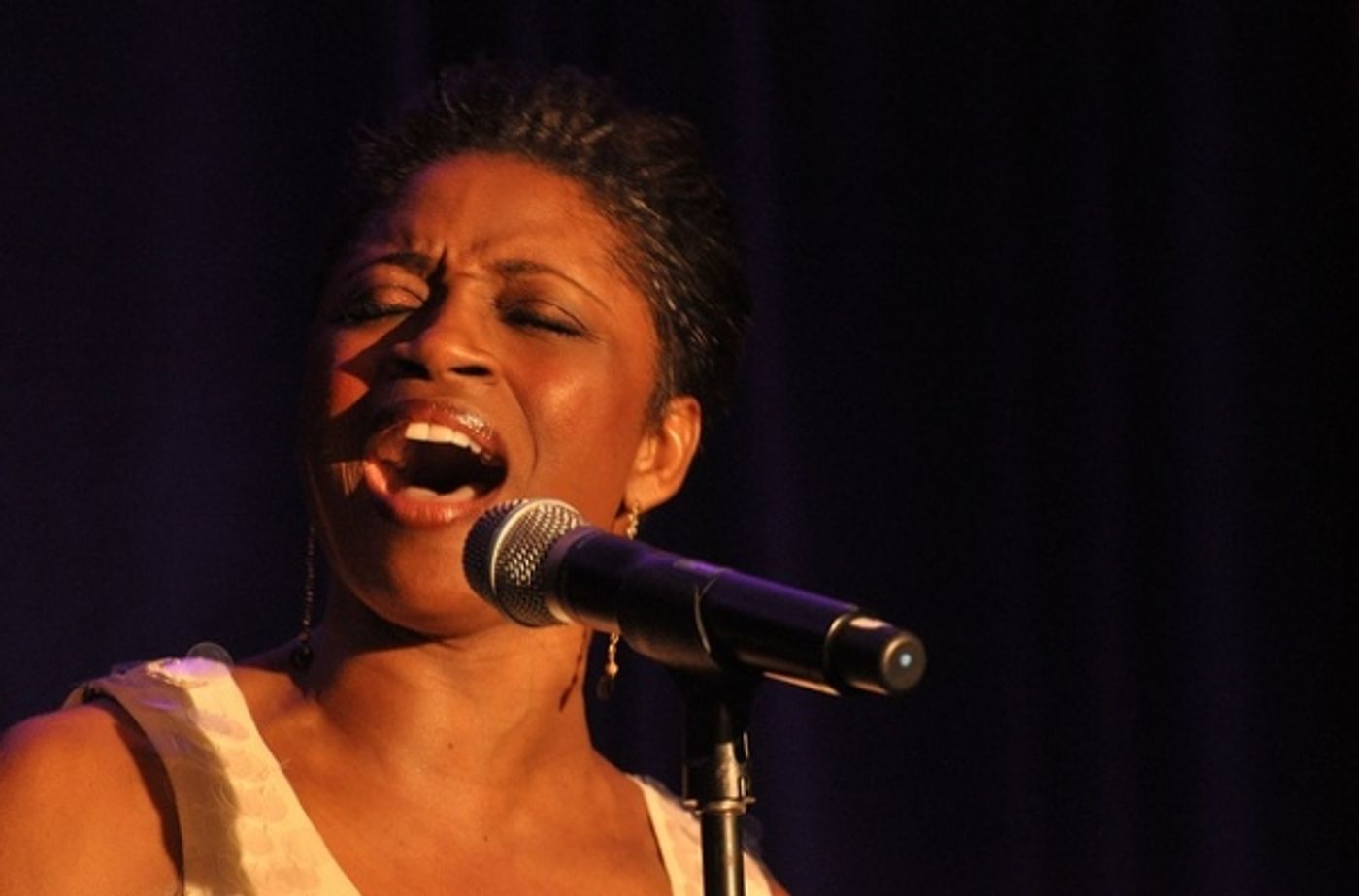 Photo Flash: NEWSIES, Montego Glover, Clay Aiken and More at the 2012 Family Equality Council Night at the Pier!  Image