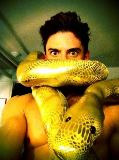 PRISCILLA, QUEEN OF THE DESERT's Nick Adams ‏
 Photo