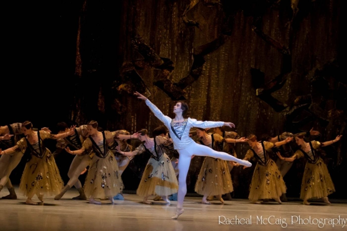 Photo Coverage: Bolshoi Ballet Triumphantly Returns to Toronto  Image