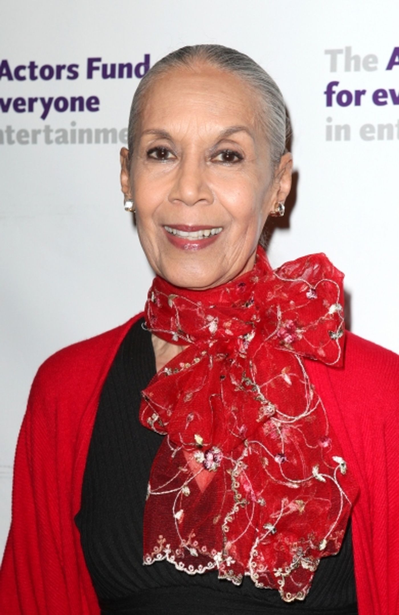 Photo Coverage: The Stars Come Out to Honor Jerry Stiller, Harry Belafonte & More at The Actor's Fund Gala  Image