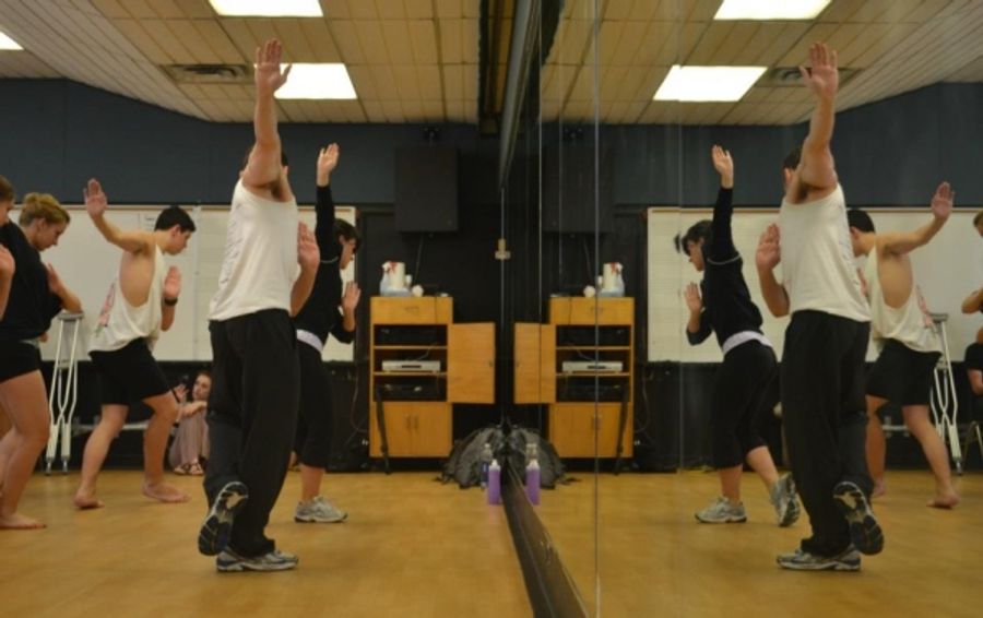Photo Flash: Dancap and Etobicoke School for the Arts Present WEST SIDE STORY Master Class Image