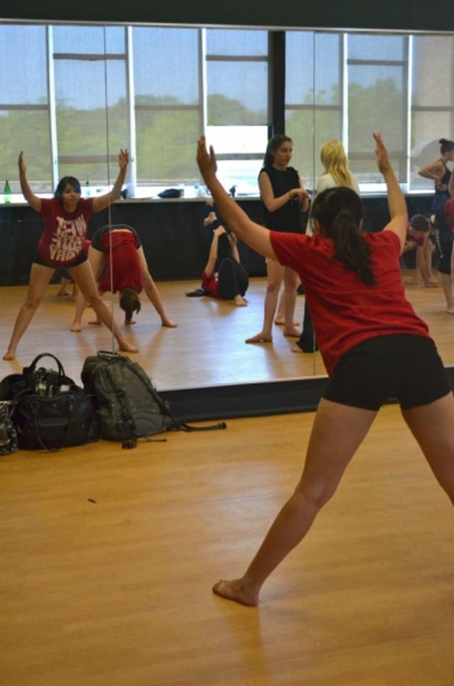Photo Flash: Dancap and Etobicoke School for the Arts Present WEST SIDE STORY Master Class Image