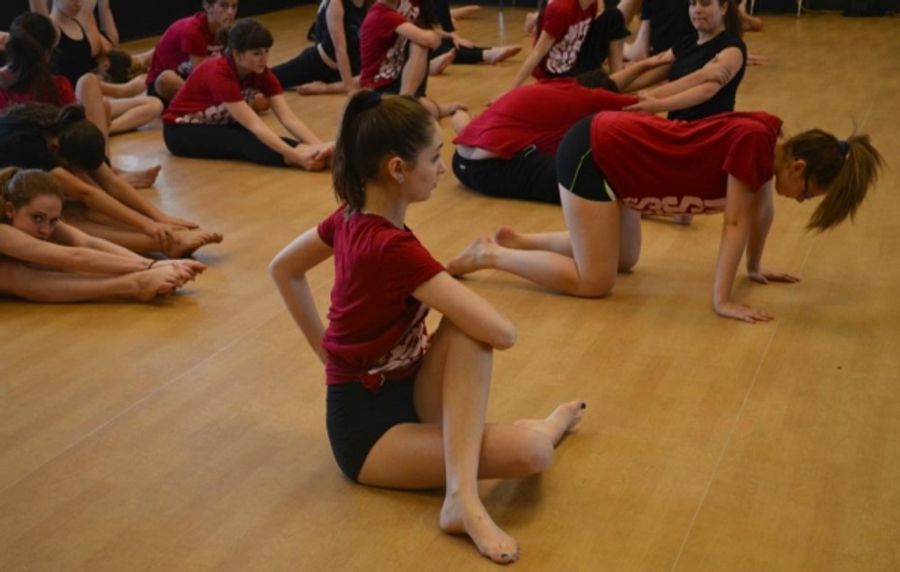Photo Flash: Dancap and Etobicoke School for the Arts Present WEST SIDE STORY Master Class Image