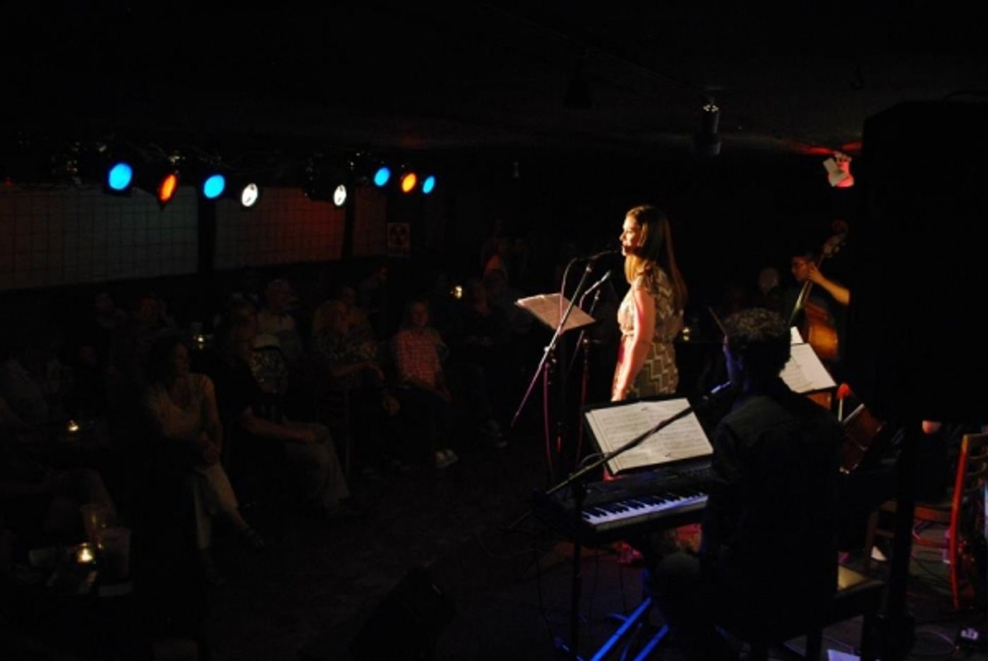 Photo Flash: Inside SONDHEIM UNPLUGGED with Will Collyer, Melissa Hoff, et al.  Image