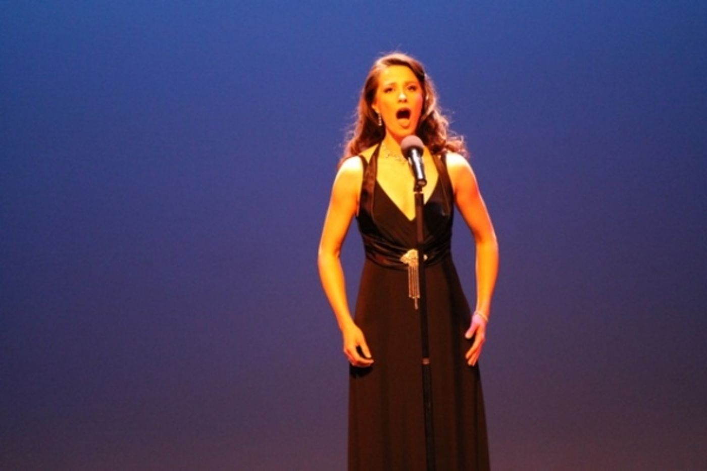 Photo Flash: Stars Come Out for WHEN YOU BELIEVE Stephen Schwartz Tribute  Image