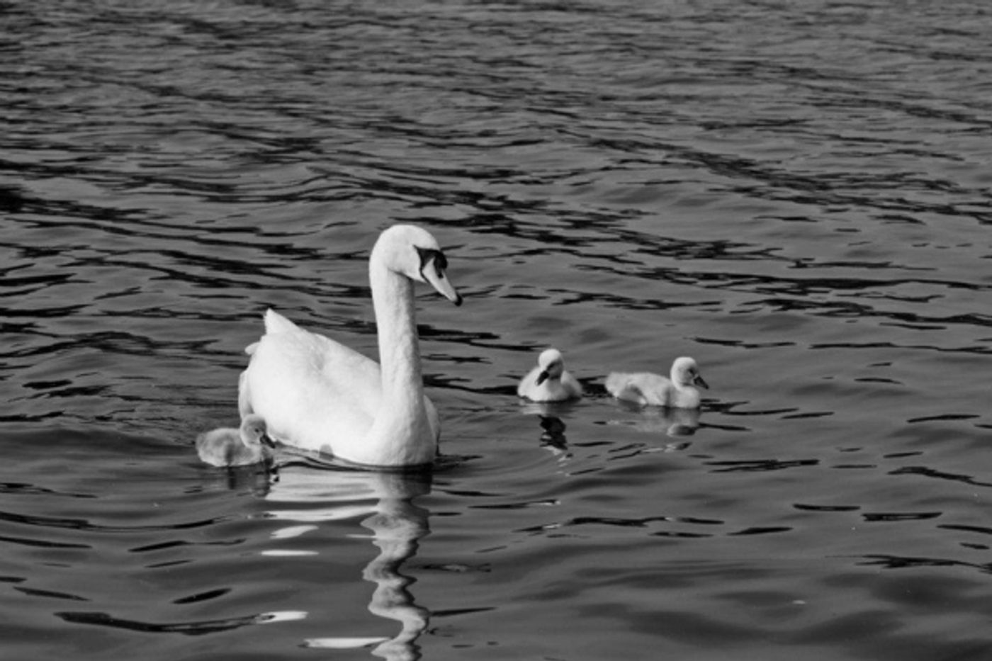 Photo Coverage: Stratford's 60th Season Opening Night Gala  Image