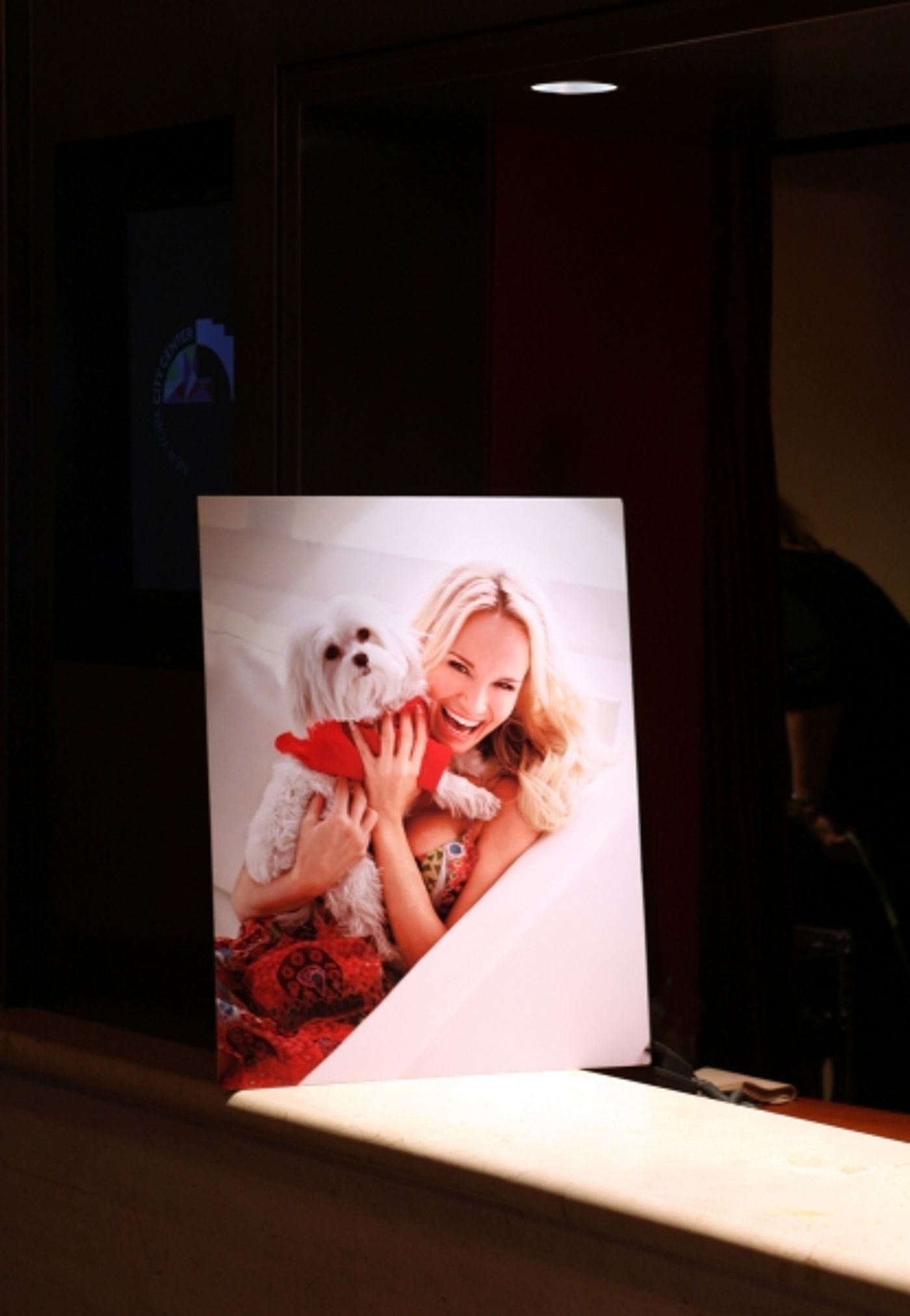 Photo Coverage Exclusive: Kristin Chenoweth Hosts Maddie's Corner Fundraising Event - Woof!  Image