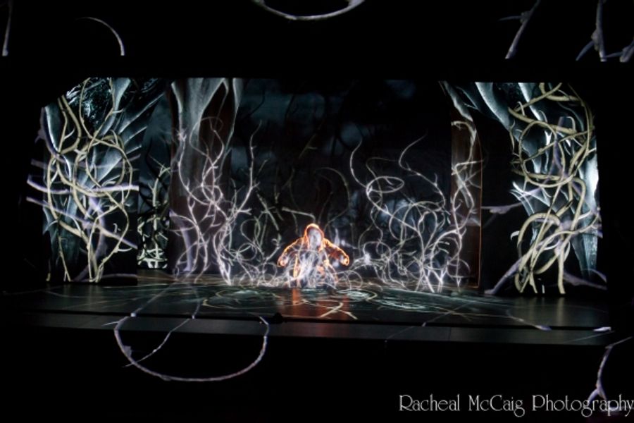Photo Flash: Luminato's LA BELLE ET LA BETE Image