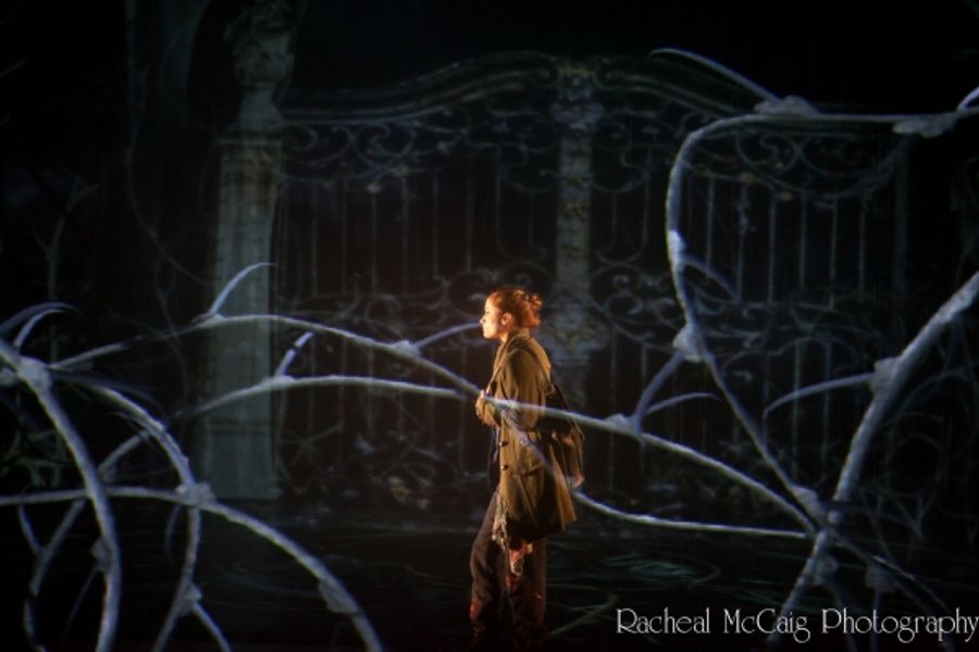 Photo Flash: Luminato's LA BELLE ET LA BETE Image