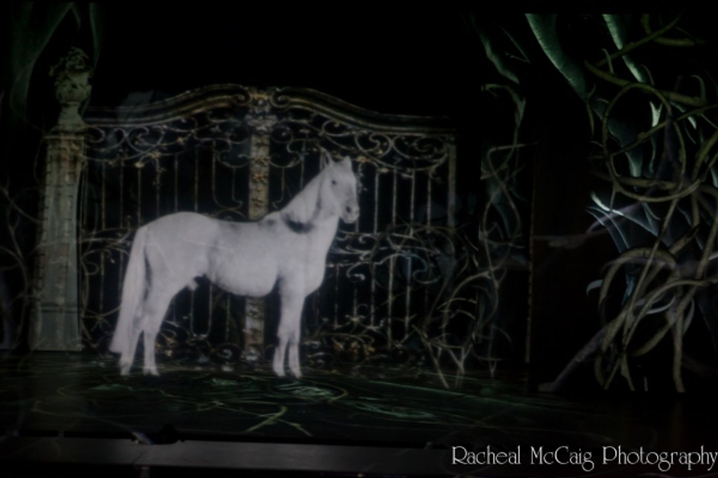 Photo Flash: Luminato's LA BELLE ET LA BETE  Image