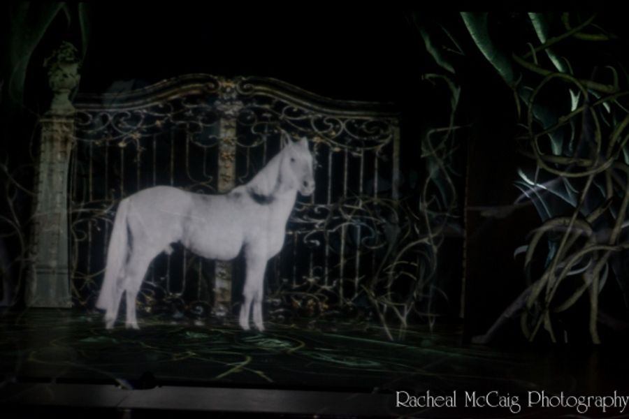 Photo Flash: Luminato's LA BELLE ET LA BETE Image