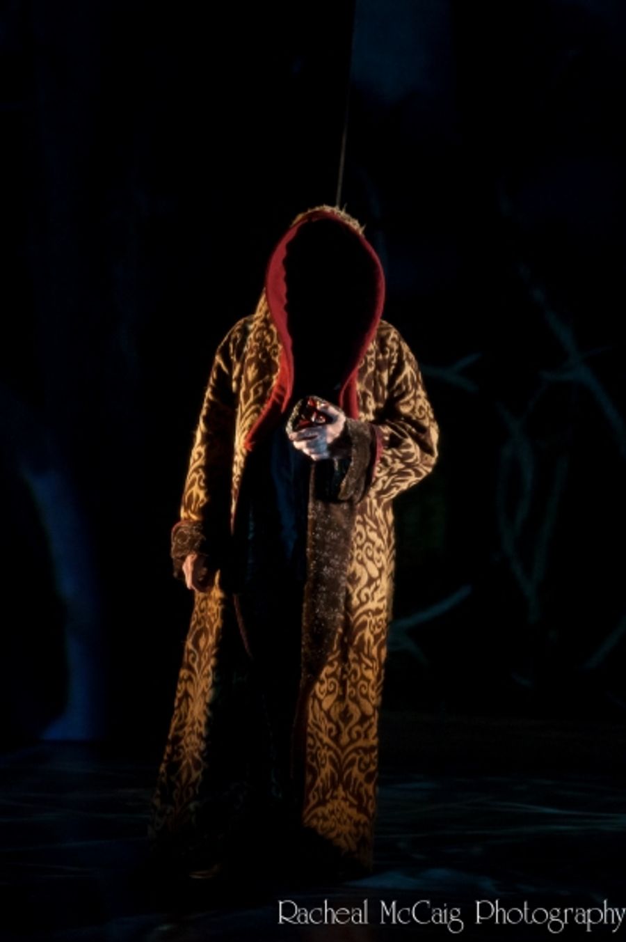 Photo Flash: Luminato's LA BELLE ET LA BETE Image
