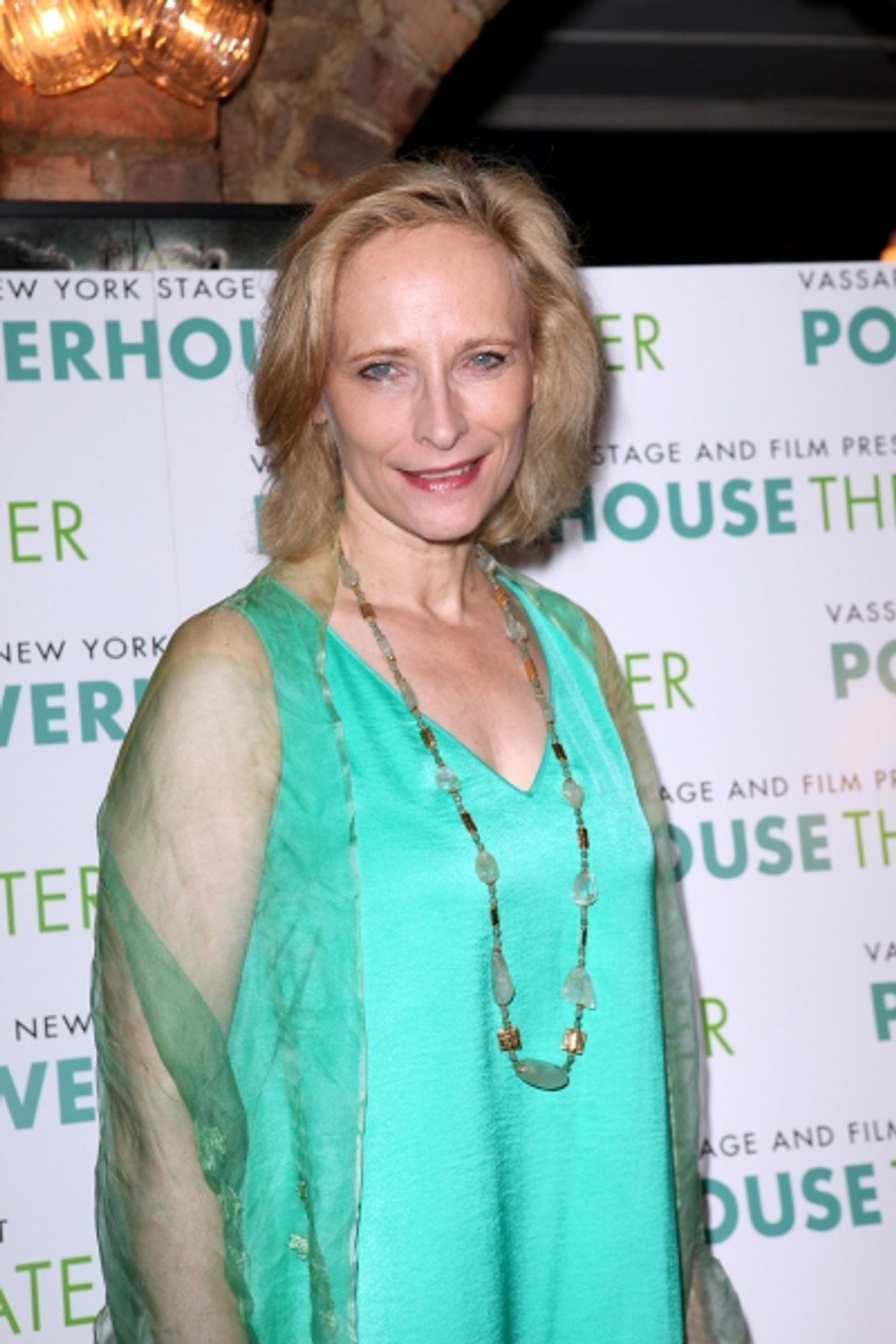 Photo Coverage: New York Stage & Film Celebrates 2012 Launch - Chloe Sevigny & More!  Image