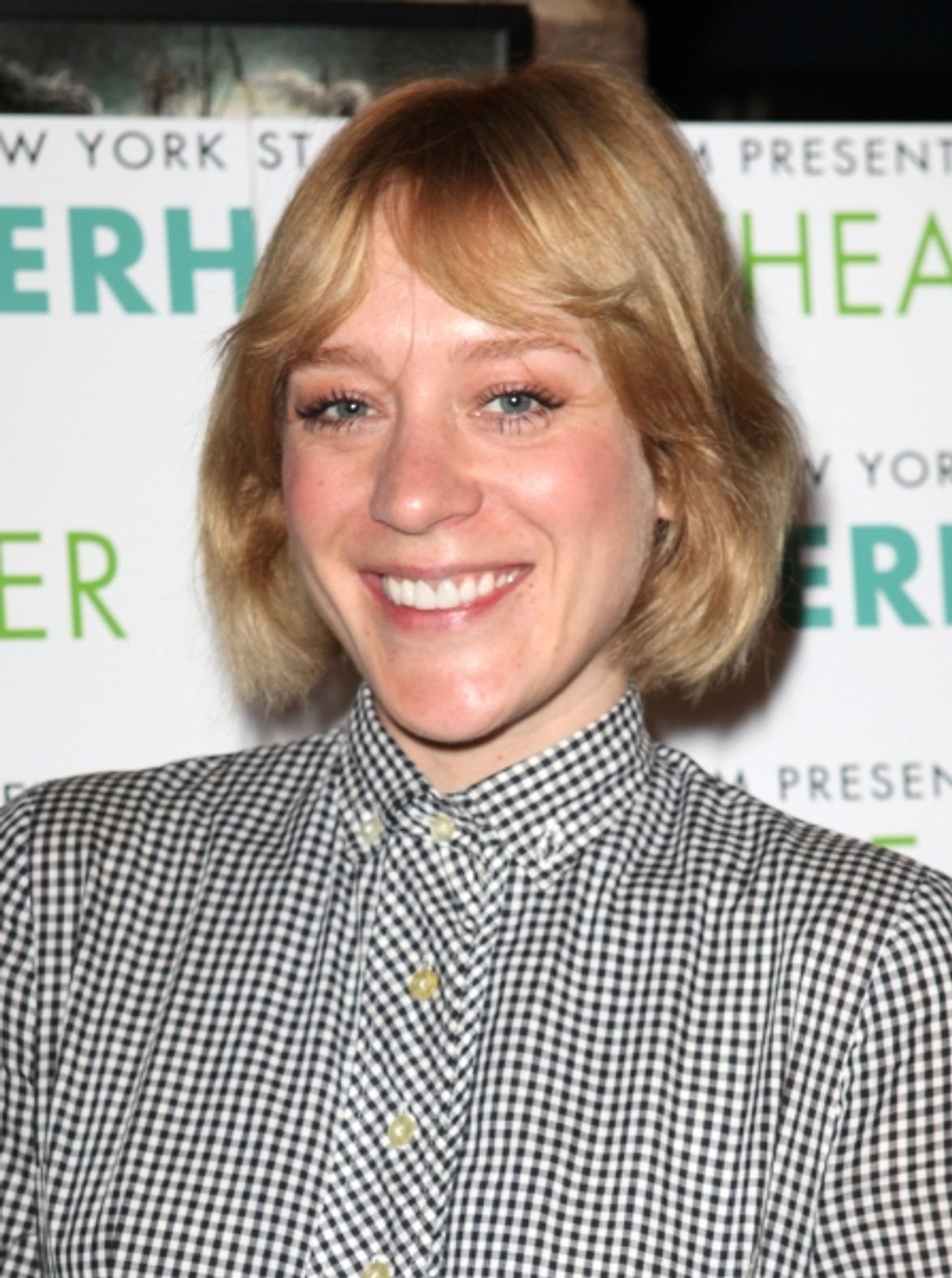 Photo Coverage: New York Stage & Film Celebrates 2012 Launch - Chloe Sevigny & More!  Image