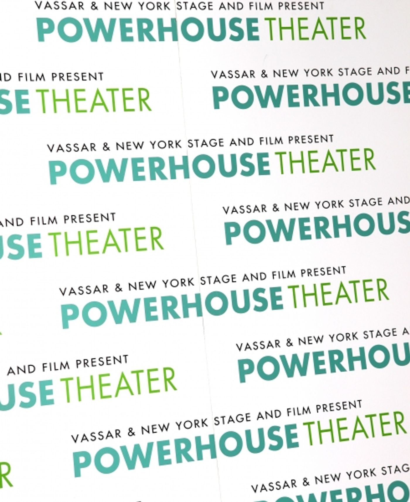 Photo Coverage: New York Stage & Film Celebrates 2012 Launch - Chloe Sevigny & More!  Image